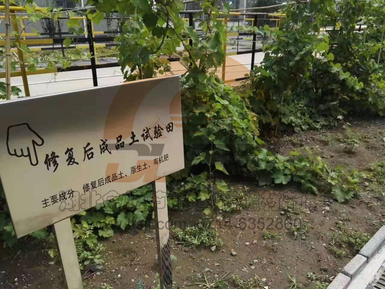 皇冠24500足球手机版