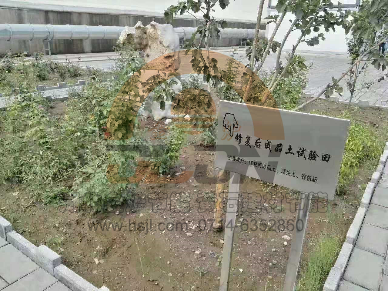 皇冠24500足球手机版